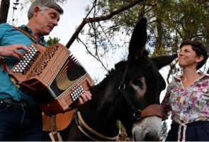 Musique-au-sentier-6